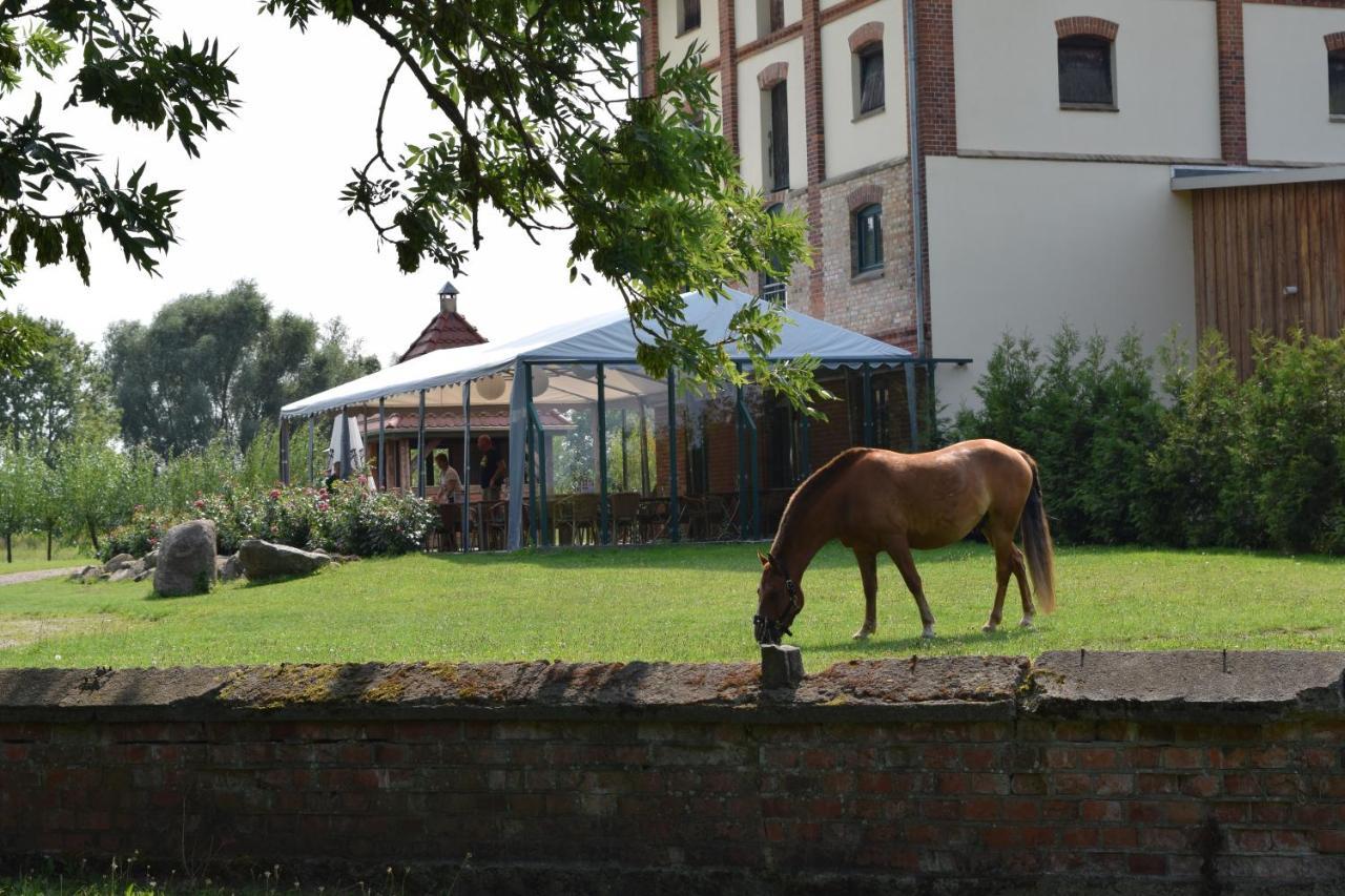 Ferienanlage Gutshaus Gramkow Екстер'єр фото